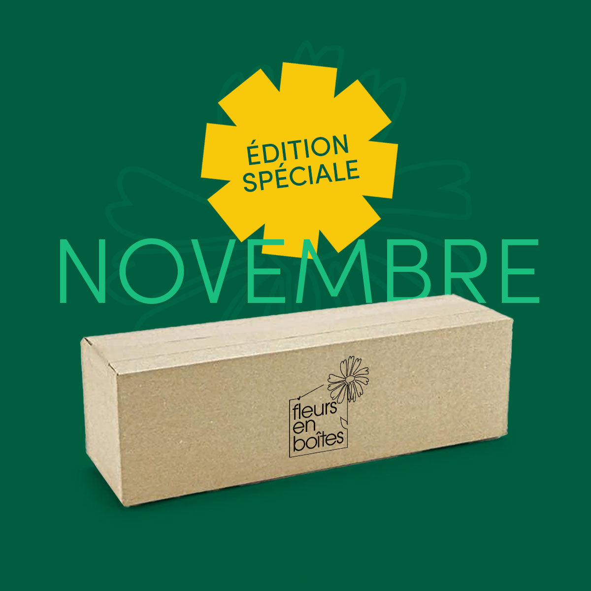 Box de Novembre - Édition spéciale - Couronne de l'Avent