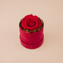 Boîte Cylindre Ø10 cm 1 rose stabilisée