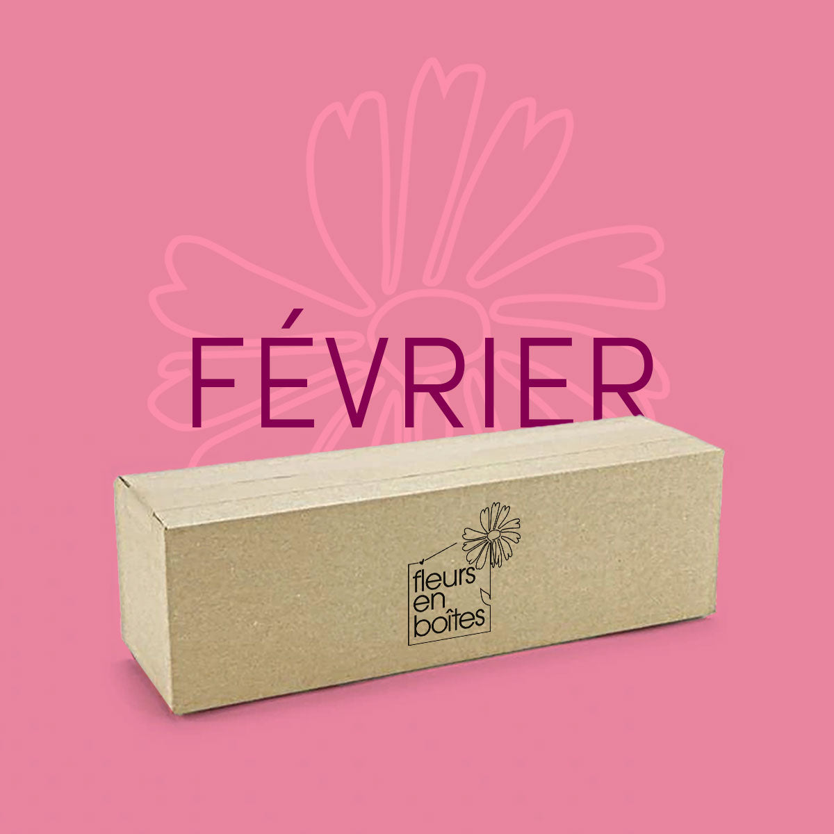 Box de Février - Jardin de Tulipes