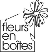 Fleurs en Boites
