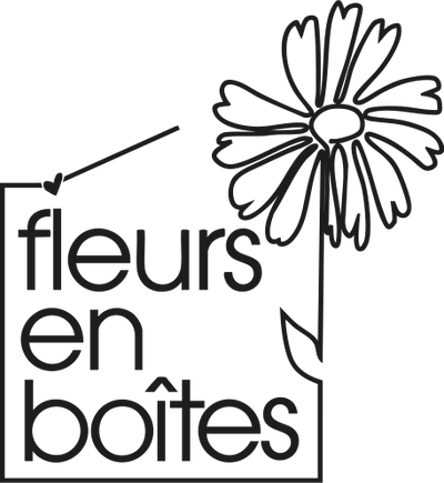 Fleurs en Boites