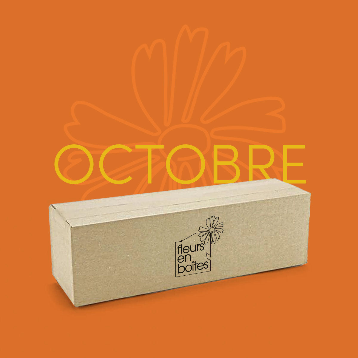 Box d'Octobre - Piquage Coloquintes