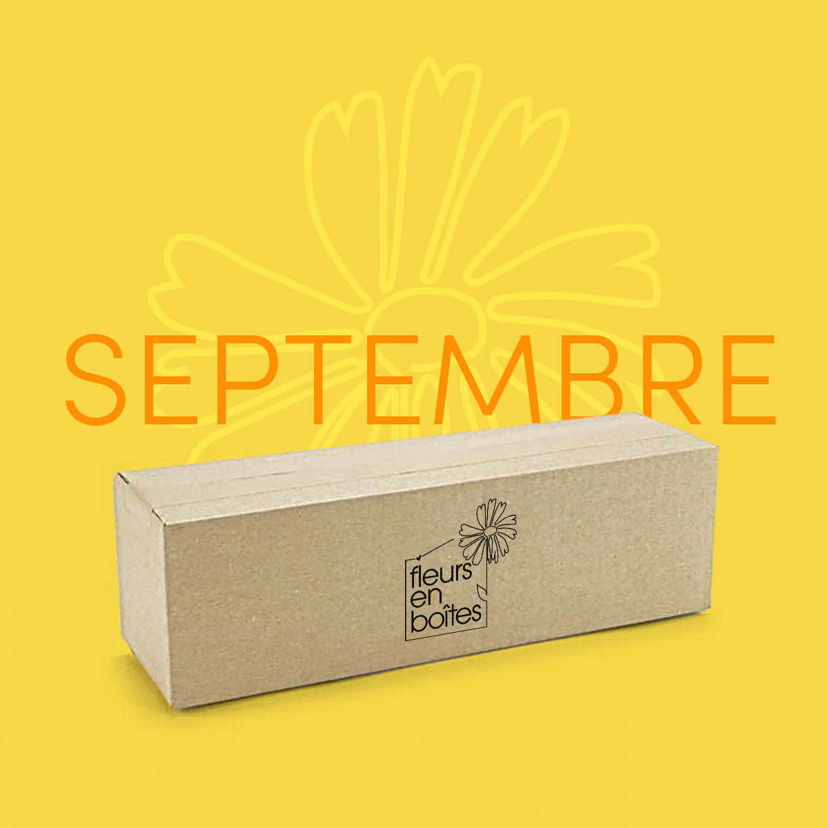 Box de Septembre - Bouquet Tournesol